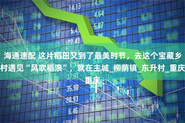 海通速配 这片稻田又到了最美时节，去这个宝藏乡村遇见“风吹稻浪”，就在主城_柳荫镇_东升村_重庆