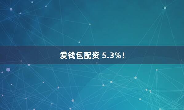 爱钱包配资 5.3%！