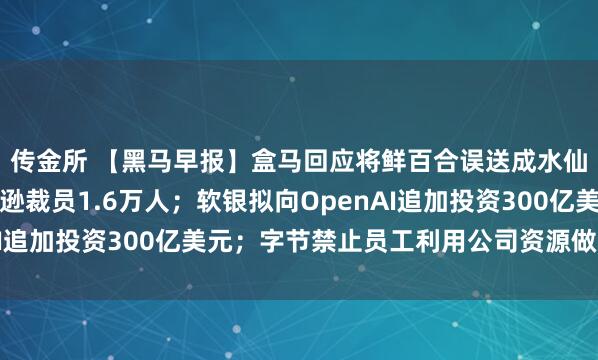 传金所 【黑马早报】盒马回应将鲜百合误送成水仙球致用户中毒；亚马逊裁员1.6万人；软银拟向OpenAI追加投资300亿美元；字节禁止员工利用公司资源做号谋利